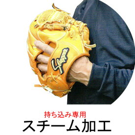 楽天市場 スチーム 型付けの通販