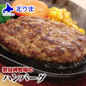 宗谷岬牧場のハンバーグ 120g×4個入り お試し 【ハンバーグ 牛肉 和牛 美味しい おいしい 肉汁 高級 北海道産 宗谷黒牛 お取り寄せ】お歳暮/プレゼント/グルメ/ギフト/贈り物/贈答 内祝い/お返し/父の日/母の日/敬老の日/お中元元