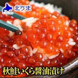 HݖЂ 500g y ݖЂ 傤 ō  kC kCY H Kzݖ  lCi  Ε v[g O Mtg 蕨  Hi Hו 