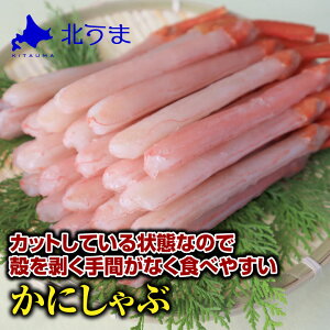 gYC|[V500g kCtY@y Jj I YCKj 킢I 󂠂 ɂ Jj CN Ԃ Jj 痿 Ε v[g Mtg 蕨 j 