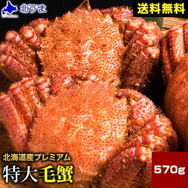 【期間限定/宗谷産ほたて無料同梱中！】毛ガニ 570g【毛蟹 ケガニ けがに け蟹 かに 蟹 オホーツク 加工 北海道 冷凍 グレース シュリンク包装 ギフトプレゼント グルメ 贈り物 贈答 食品 食べ物 内祝い お返し お歳暮 敬老の日 お中元】