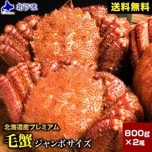yԌ/@JYقĖIzуKj 1.6kgi800g×2jyъI PKj  I  I Iz[cN H kC Ⓚ O[X VN Mtgv[g O 蕨 