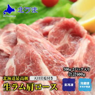 北海道 最高級 生ラム肩ロース 合計600g 300g 2パック 天日岩塩付き 【ラム肉 肩ロース ラム 羊肉 冷蔵 …
