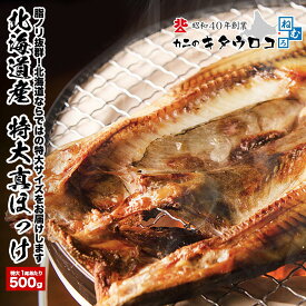 冷凍品との同梱推奨｜ 北海道産 特大 真ほっけ開き 一夜干し 500g前後 送料別 干物 父の日 お中元