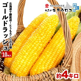 450,000本突破！とうもろこしの王様 北海道産 十勝直送 ゴールドラッシュ 10本入生でもメロン並の甘さ おためし 夏グルメ とうきび 送料無料 指定日不可 お取り寄せ スイートコーン