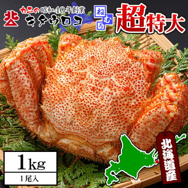 北海道産特大毛がに1kg前後×1尾入送料無料お取り寄せ毛ガニ毛蟹かにカニ蟹バーベキューセットBBQ居酒屋メニュー