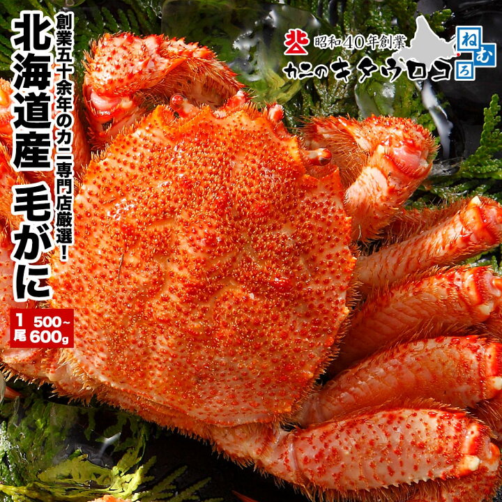楽天市場】【8/1(月)より出荷開始】北海道産 毛がに(大)500〜600g×1尾入 送料無料お取り寄せ 毛ガニ 毛蟹 かに カニ 蟹 : カニ のキタウロコ 楽天市場】【8/1(月)より出荷開始】北海道産 毛がに(大)500〜600g×1尾入 送料無料お取り寄せ 毛ガニ 毛蟹 かに カニ 蟹 : カニ のキタウロコ