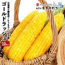 ＼エントリーでポイント10倍／ 387,000本突破！ とうもろこしの王様 朝もぎで生でも食べられる♪ 北海道産 十勝直送 …