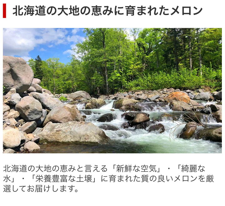 楽天市場 今季受付終了 北海道メロン 約1 6kgx1玉入 優品または秀品 ふらのメロンを中心とした旬のメロンをお届け 北海道産送料無料 富良野 メロン 同梱不可 御中元 お中元 のし対応 発送時期をお選びいただけます カニのキタウロコ