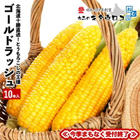 ＼エントリーでポイント10倍／ 396,000本突破！ とうもろこしの王様 朝もぎで生でも食べられる♪ 北海道産 とうもろこし 十勝直送 ゴールドラッシュ 10本入メロン並の甘さ おためし お試し 夏グルメ 送料無料 指定日不可 同梱不可 お取り寄せ スイートコーン