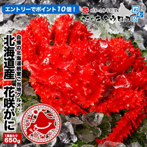 Jjň큚 _Gg[Ń|Cg10{^ kCY ԍ炪 650gO 1 Ⓚi  Jj I ԍKj nO