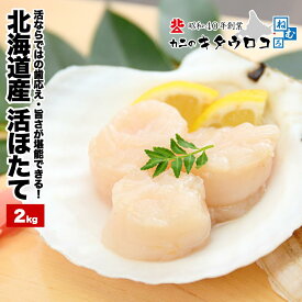 【2026年度受付終了】 北海道直送！貝付き「活ほたて」約8〜10枚前後入 計2kgお取り寄せ 鍋 送料無料 帆立 ホタテ【同梱不可】