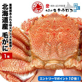 ★エントリーでポイント10倍 ※＋9倍確定＆まとめ買いクーポンでさらにお得★ 選べる 北海道産 毛ガニ 1尾 中 650g前後 大 800g 特大 1kg前後 送料無料 毛蟹 お歳暮 御歳暮 ギフト かに カニ 蟹 ka