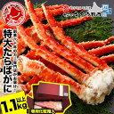 ＼年末予約可★さらにエントリーでポイント10倍／ 特大 たらばがに 脚 1.1kg以上 1肩入 化粧箱入 創業60年 北海道当店加工 ボイル カニ かに 蟹 タラバガニ 茹で 足 グルメ ギフト お歳暮 御歳暮 送料無料 おためし