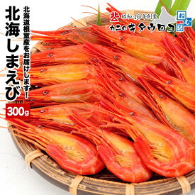 冷凍品との同梱推奨｜ 北海道 根室産 しまえび 300g (16尾から18尾入) 送料別 お中元