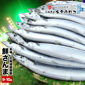 ＼エントリーでポイント10倍／ ※2025年度9月半ば前後〜10月半ば前後より順次出荷※ 鮮度重視♪ さんま 本場 北海道 根室産 鮮サンマ 110g前後×9〜10尾入 計 約1kg【送料無料】サンマ祭り 同梱不可 指定日不可 秋刀魚 生さんま