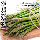 【早割中】 ★エントリーでポイント10倍 ※＋9倍確定★ 北海道十勝産 グリーン アスパラガス 800g ※S〜Mサイズ混み（…