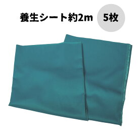 ベトナムシート キタヤマ 塗料養生シート 1350から1550mm×2m 5枚 外壁塗装 飛び散り防止 塗装現場 日曜大工 土間養生 DIY