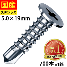 【日曜限定 P2倍】 ドリルビス ノンヘッド ビス ネジ 鉄板ビス ディスクヘッド ノンヘッド 平頭 板金 建物金具 金具 C型鋼 金属屋根 壁 鉄骨用 鋼板用 SNJ519 ステンレス ヤマヒロ ジャックポイント 5×19 小箱 700本入