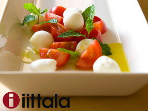 Cb^ iittala TEEMA eB[} v^[ 16×37cm zCg M v[g M dqWΉ ϔM k H  1005927 sAi 