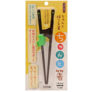 CV_  1X6 Ɣ 18C . 11413  ͂ nV