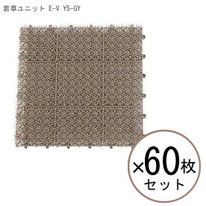 苗 60枚 人工芝」の人気商品一覧・価格比較 - 価格.com