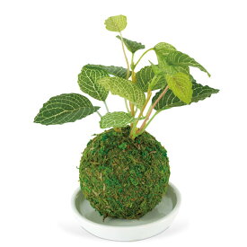 消臭アーティフィシャルグリーン 和盆栽 WA BONSAI ARTIFICIAL GREEN KH-61060 Mulberry クワ KISHIMA キシマ 観葉植物 CT触媒