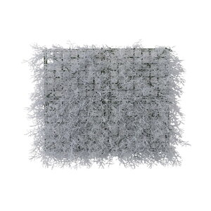 pltFCN O[ LFS-904C zCg  J Azumaya