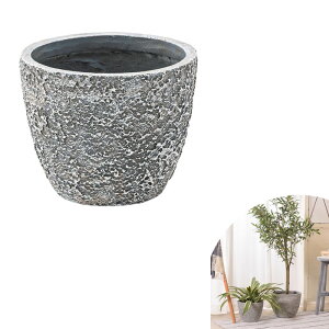 O[x[X GRNB-201iO[j O[x[X x[X ꕨ ϗtA  CeA CeAG   Azumaya J yzy[J[izyszy