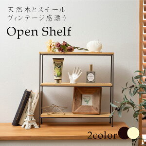 オープンラック シェルフ 収納棚 幅40cm 高さ40cm 木製 アイアン ラック 収納 小物置き 多目的ラック 棚 スパイスラック おしゃれ シンプル 新生活 AKB-403 Azumaya 東谷 送料無料【メーカー直送品
