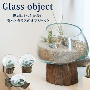 KX IuWF TTZ-311 NA CeA   G ANAE    fBXvC eE OX u k vc|bg 