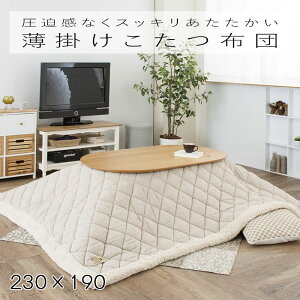 | R^czc ` x[W 230×190 KK-102BE cC[hLg×{A R^cJo[ Vv k   J Azumaya