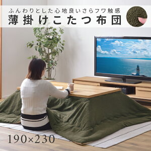 zc | R^czc ` KK-170KH J[L 190×230 h Vv   ӂӂ 킢 Azumaya J yzy[J[izyszyEkCE