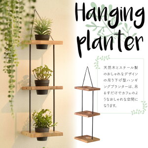 nMO v^[ 3i TTZ-313 uE ݂邵 Ǌ| O[ ϗtA ϏܐA  Aؔ K[f X`[ i` CeA k K[fjO | x_  