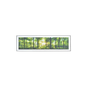 �A�[�g�p�l�� ART-201A�i�z���C�g�j �A�[�g�p�l�� 140×45cm ���C�h �O���t�B�b�N�p�l�� �f�U�C���{�[�h �A�[�g �ʐ^ ���i �i�F Azumaya ���J �y���������z�y���[�J�[�����i�z�y����s�z�y����E