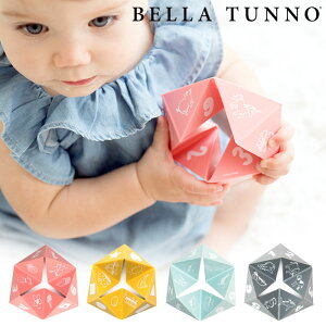 xr[gC 0` BELLA TUNNO VR Beginner Spinner Iׂ4J[ Ԃ ł  mߋ H@Ή S S  Mtg oYj 