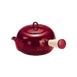 H[ACU Ȗڕ ϔ h }{䂸 (77-U) 