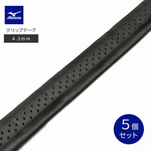 y5Zbgz~Ym MIZUNO Obve[v 4.2mm F3JAG904