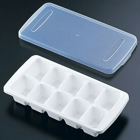 フタ付ビッグアイストレー L-10 （10ヶ取）130×266×H45mm( キッチンブランチ )