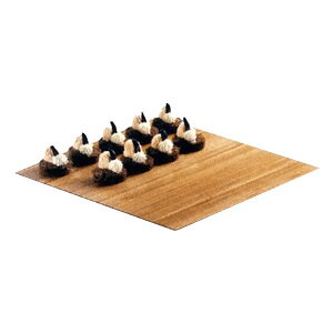 �J���E�~�� �`�F���W�A�b�v���C�U�[�p �t���b�g�g���C M 1481-10-60 250×250×H13mm( �L�b�`���u�����` )