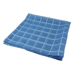 �`�F�b�N�{�C���`�[�t SP2013 �i10�����j ��550×550mm �y�u���[�z