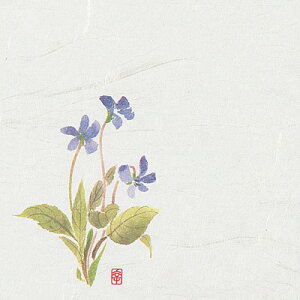 j[lG 4 i100j NS-16 ݂i2`4j 120×120mm( Lb`u` )