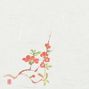 j[lG 4 i100j NS-17 ڂi3`4j 120×120mm( Lb`u` )