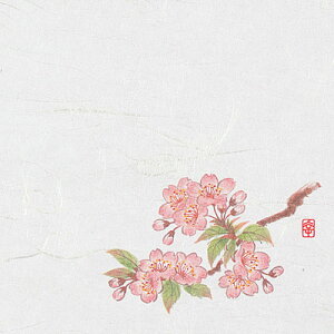 j[lG 4 i100j NS-18 i2`4j 120×120mm( Lb`u` )