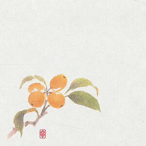 j[lG 4 i100j NS-22 тi7`8j 120×120mm( Lb`u` )