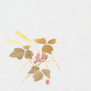 j[lG 4 i100j NS-23 Ri9`10j 120×120mm( Lb`u` )