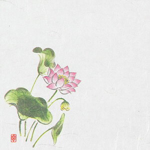 j[lG 4 i100j NS-27 ͂i@j 120×120mm( Lb`u` )