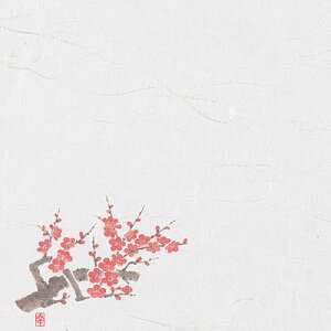 j[lG 4 i100j NS-75 ~i1`2j 120×120mm( Lb`u` )