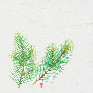 j[lG 5 i100j NS-3 iI[V[Yj 150×150mm( Lb`u` )