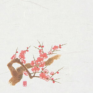 j[lG 5 i100j NS-4 ~i1`2j 150×150mm( Lb`u` )